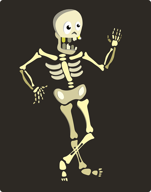 Skelett, Knochen, Schädel, Anatomie