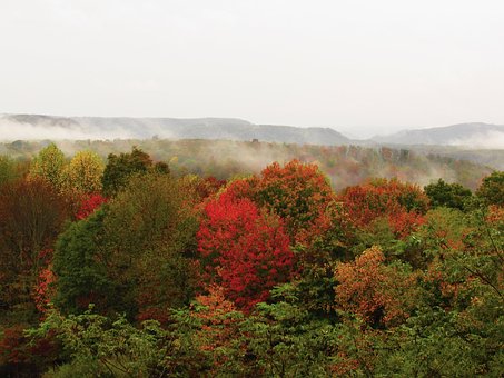 Free Autumn Bright photo and picture