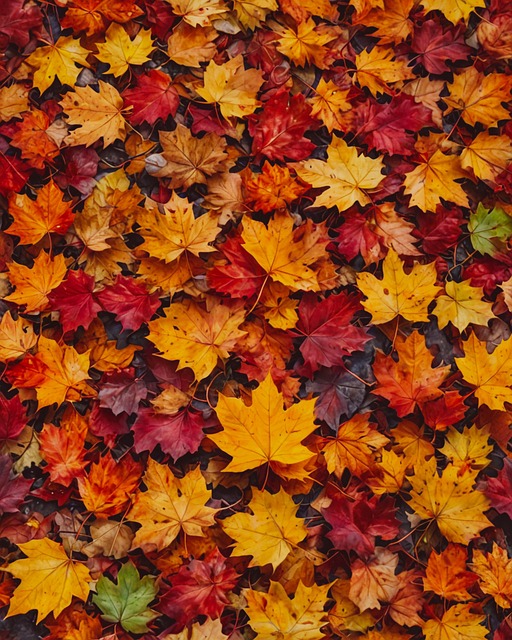 Free ai generated leaves trees illustration