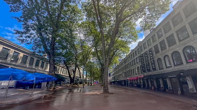 Free Boston Architecture photo and picture