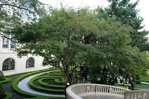 Free Garden Plant photo and picture