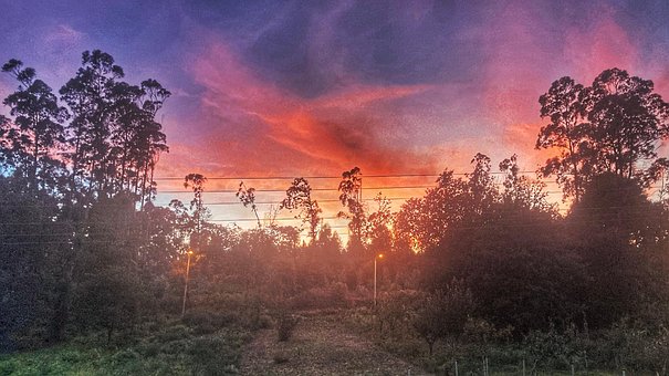 Panorama, Floresta, Natureza, Montanhas