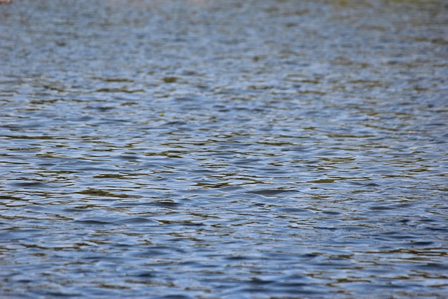 Fluxo, Natureza, Panorama, Agua