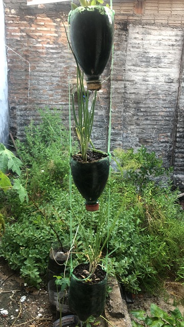 Cebolinha, Herbal, Vegetais, Comida