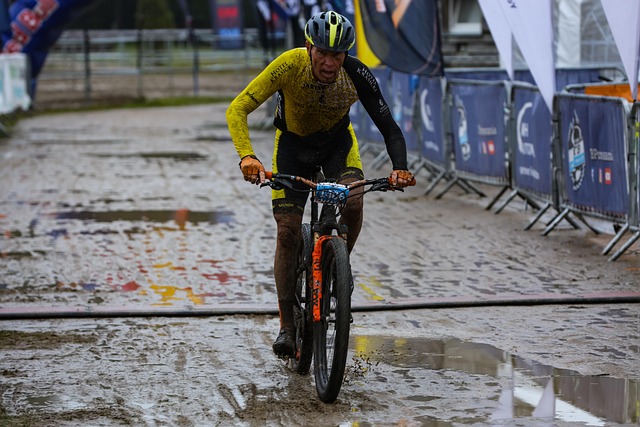 Free Sport Bicycles photo and picture