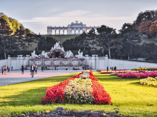 Free Vienna Austria photo and picture
