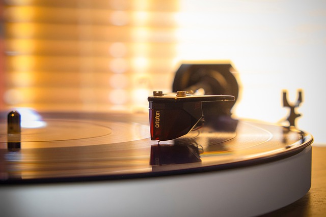 Vinyl, Přehrávač, Disk, Zadní, Zvuk