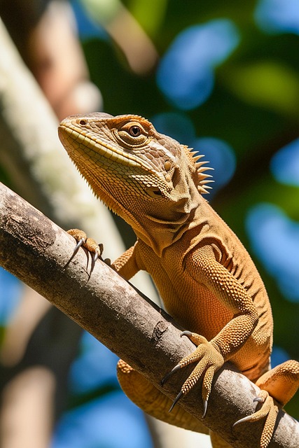 Free Ai Generated Lizard illustration and picture