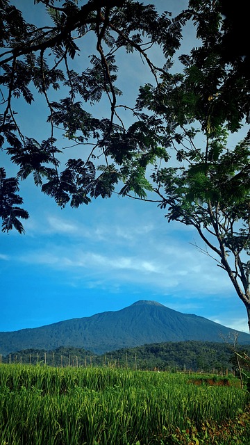 Munte, Decor, Natura, Gunung, Orez