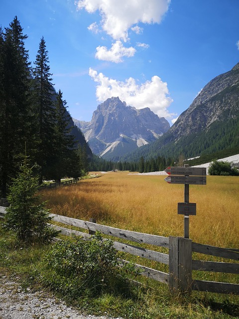 Free Background Nature photo and picture