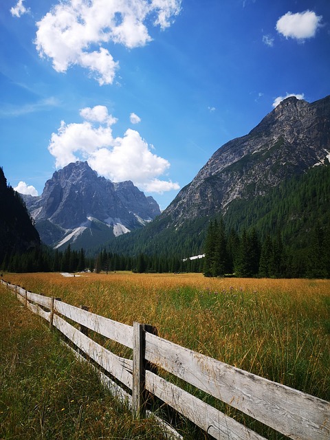 Free Background Nature photo and picture