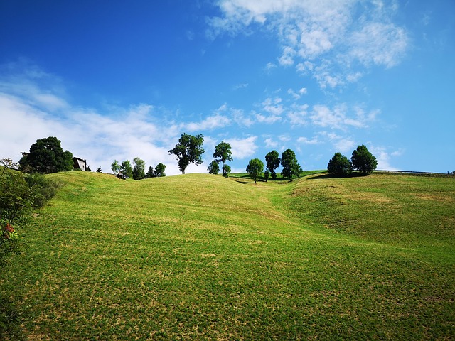 Free Background Nature photo and picture