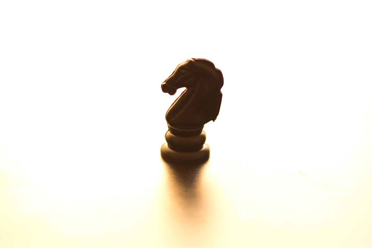 棋 骑士 轮廓 - Pixabay上的免费照片