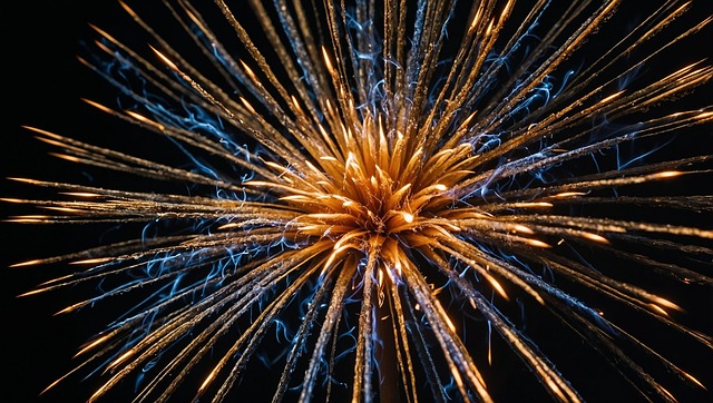 Download free HD stock image of Fireworks Sparkler Free fireworks sparkler celebration illustration