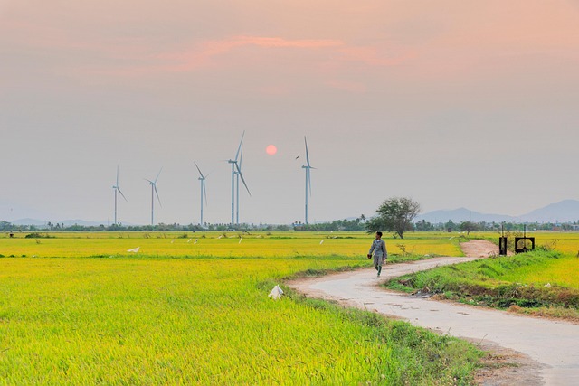 Vietnam, Natur, Lua, Asiatisch