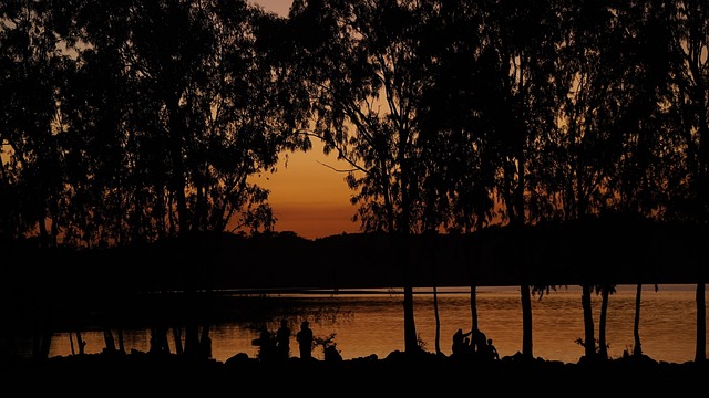 Crepúsculo, Pôr Do Sol, Dourado