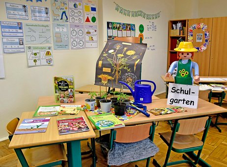 Free Grundschule Schulgarten photo and picture