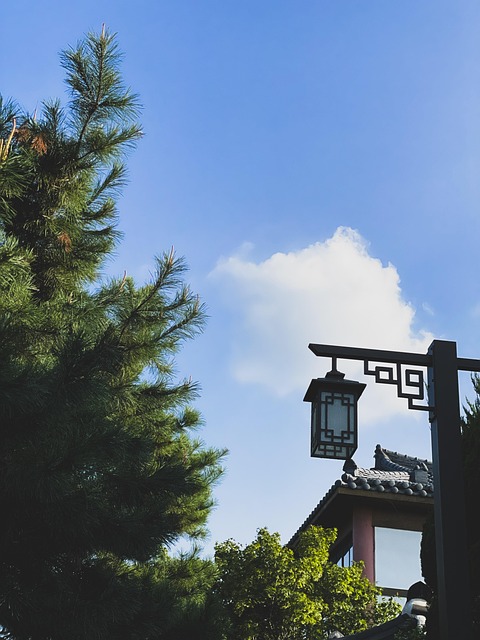 한국, 전통, 마크, 하늘, 전주, 오후, 깨끗한, Ren
