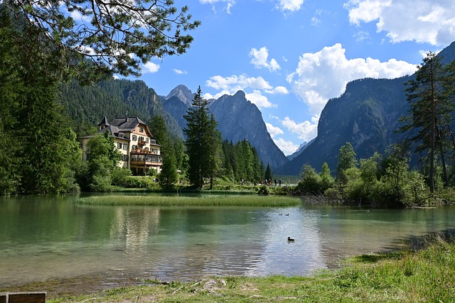 Free The Needle South Tyrol photo and picture