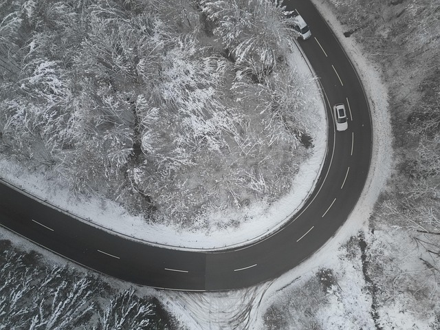 Free Winter Snow photo and picture