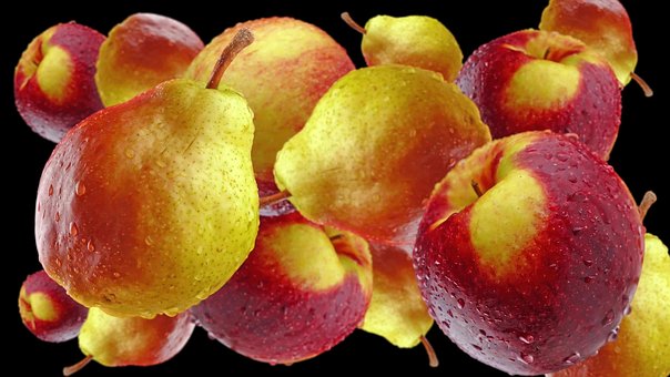 Apfel, Bella, Karotte, Gurke