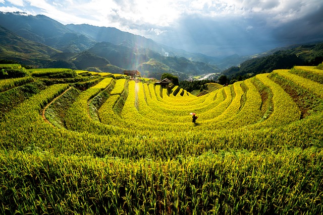 Free Terraces Farm photo and picture
