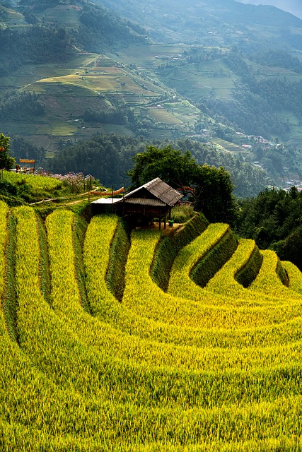 Free Terraces Farm photo and picture