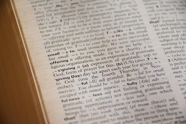 Boek, Lezen, Lezing, Oude, Lexicon, Leuk