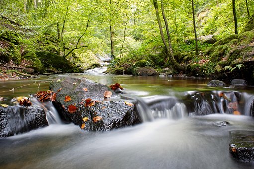 Woud, Waterval, Stroom, Natuur