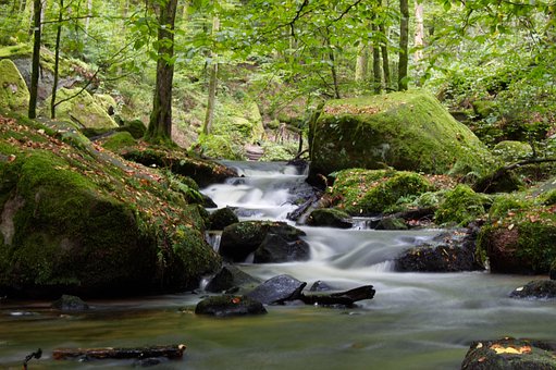 Stroom, Beek, Stromen, Woud, Water