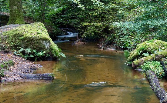 Water, Beek, Natuur, Palts, Zandsteen