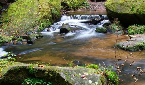 Woud, Natuur, Beek, Water, Landschap