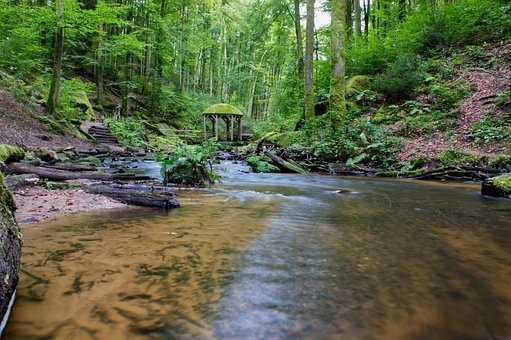 Karlstal Kloof, Beek, Water, Palts, Woud