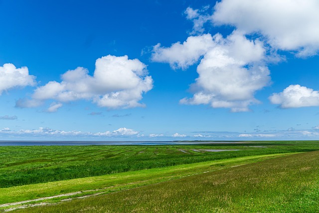 Free Ostfriesland Landscape photo and picture