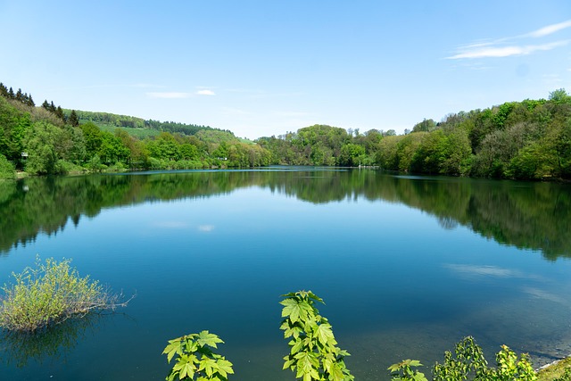Free Lake Water photo and picture