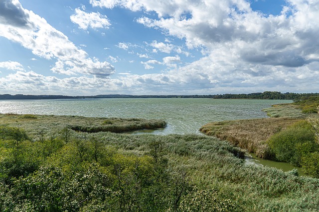Free Lake Summer photo and picture