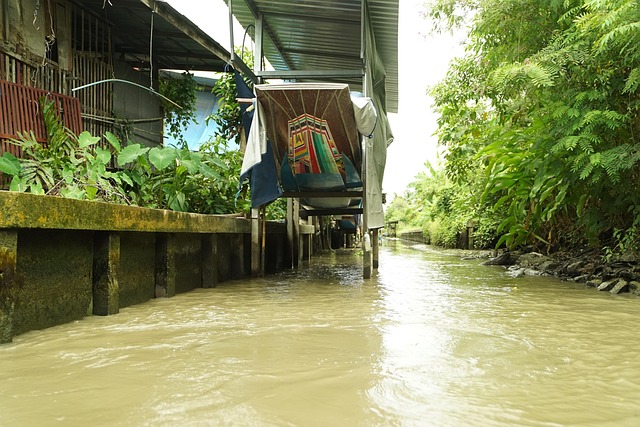 Bangkok Thailand, Sampan, Flodliv