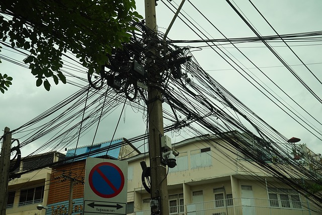 Bykaos, Thailand, Byliv