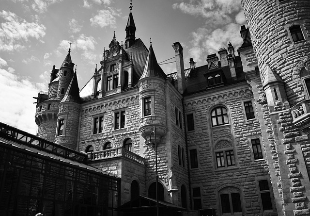 Schloss, Schlesien, Sommer, Besichtigung