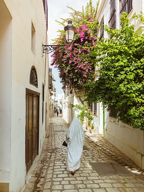 Medina, Oraș, Tunisie, Cartagina, Culori