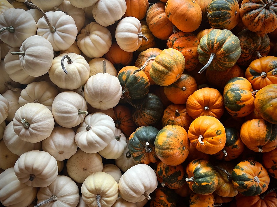 Ornamental Pumpkin Autumn Free photo on Pixabay