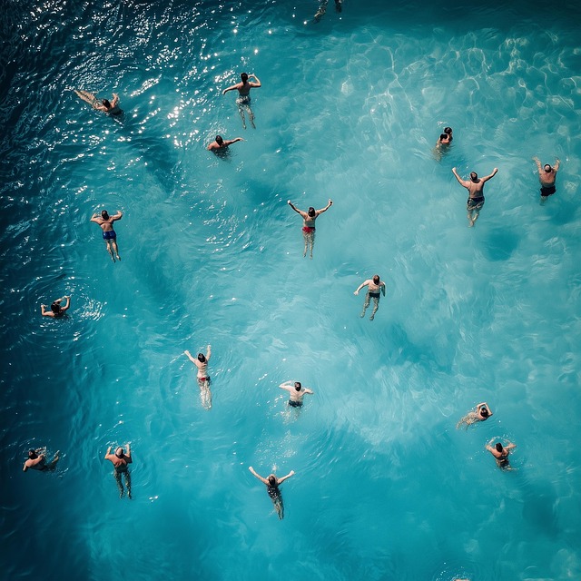 swimming pool, swimmers, summer, water, aerial view, fun, relaxation, leisure, vacation, sunny day, splash, active lifestyle, nature, swimming, outdoors, pool party, blue water, sports, healthy living