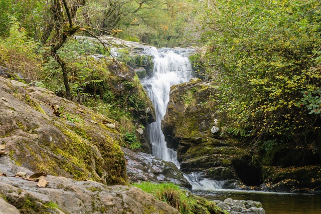 Free Lake District Aria Force photo and picture