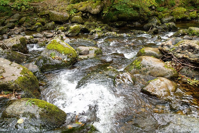 Free Lake District River photo and picture