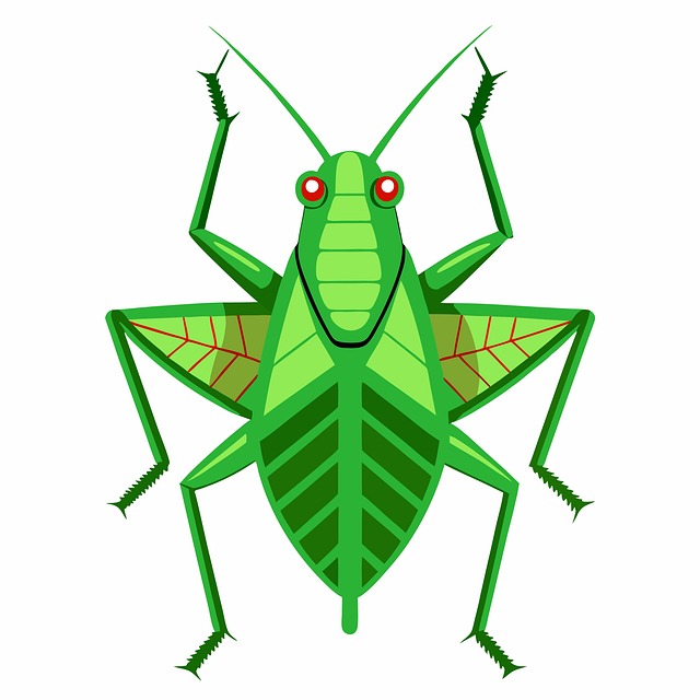 Cigarra Del Monte