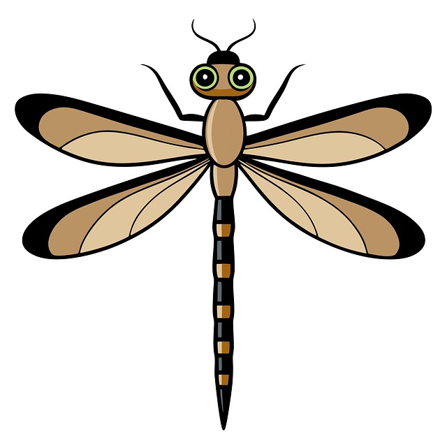 Download free HD stock image of Damselfly Dragonfly Free damselfly dragonfly insect illustration