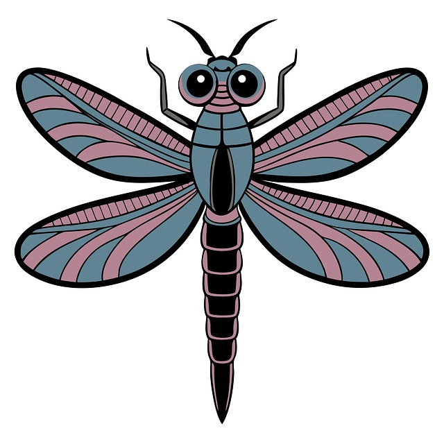 Download free HD stock image of Damselfly Dragonfly Free damselfly dragonfly insect illustration