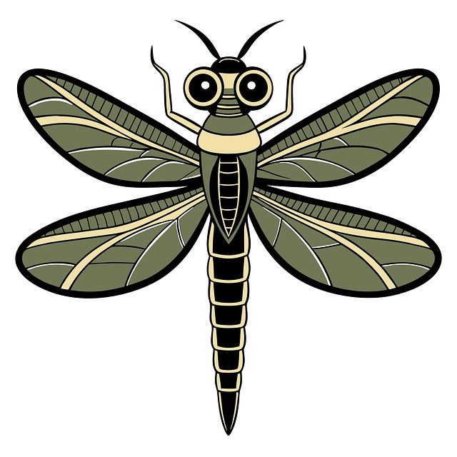 Download free HD stock image of Damselfly Dragonfly Free damselfly dragonfly insect illustration
