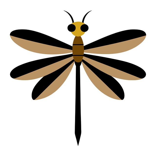Download free HD stock image of Dragonfly Damselfly Free dragonfly damselfly insect illustration