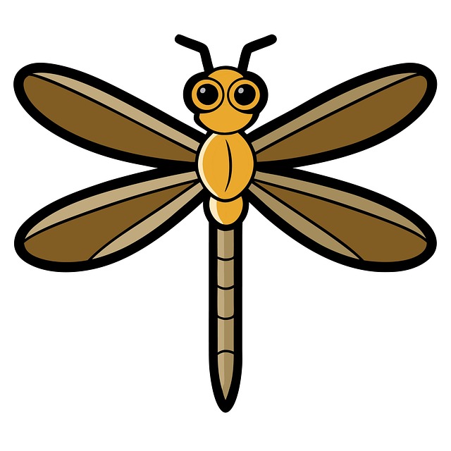 Download free HD stock image of Dragonfly Damselfly Free dragonfly damselfly insect illustration